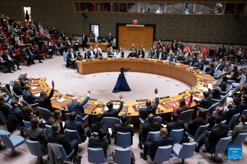 U.S. vetoes Security Council draft resolution demanding humanitarian cease