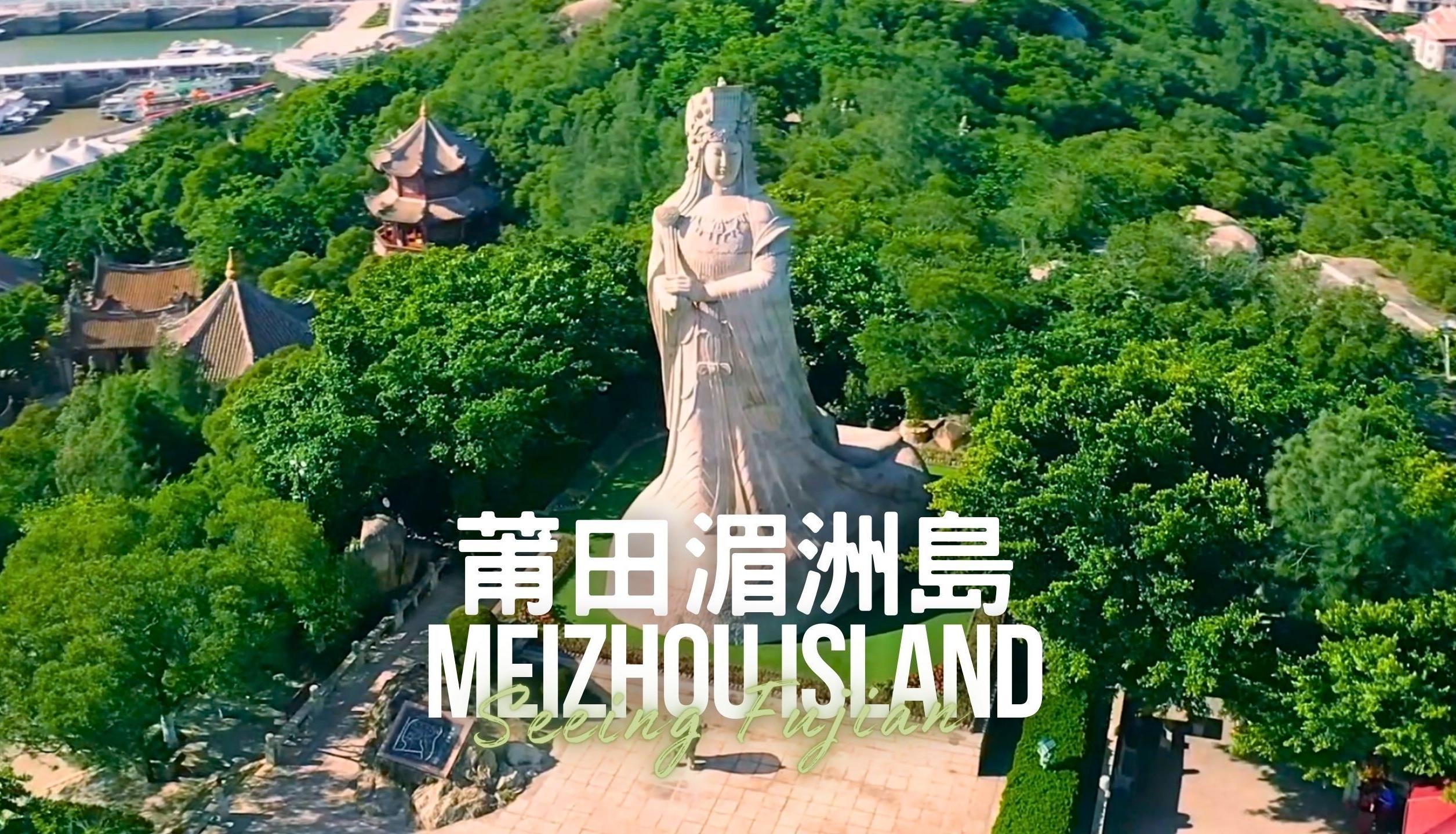 内容