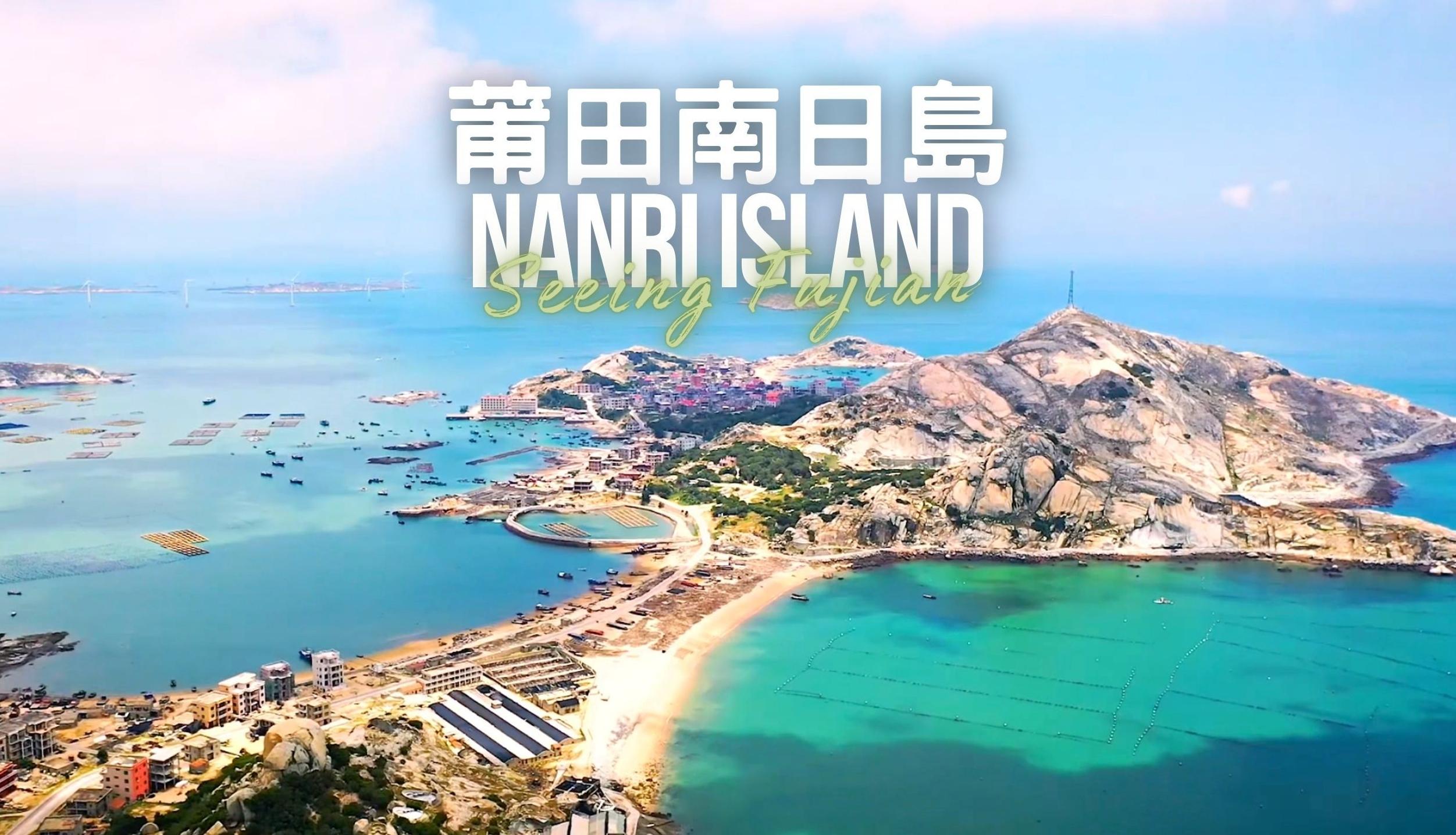 内容