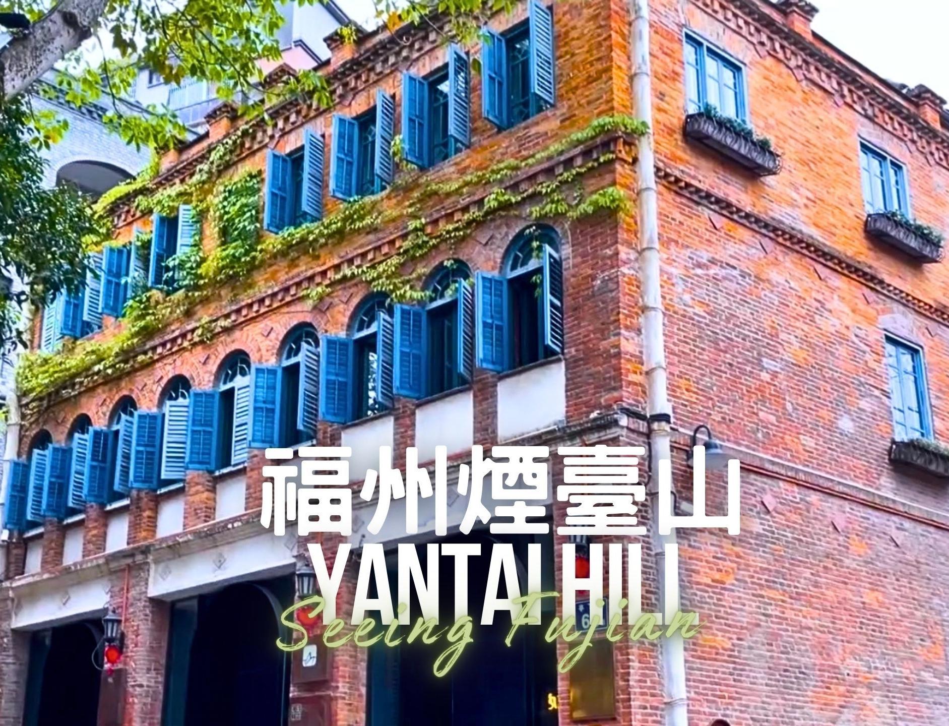 内容